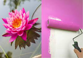 Lotus flower as biomimicry for paint