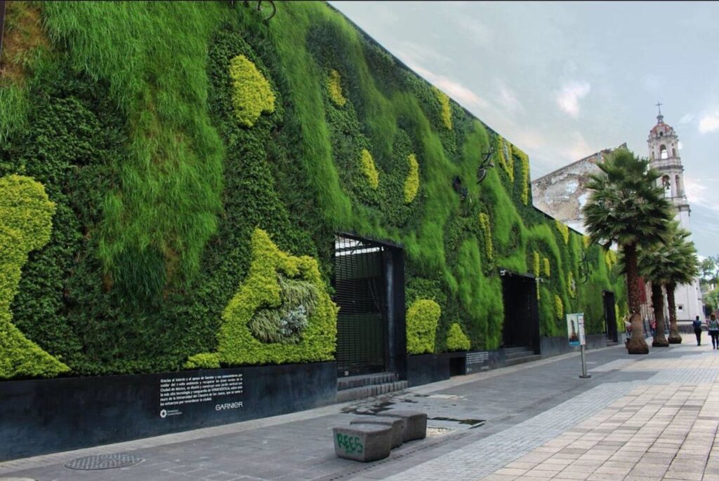 garden walls - universitat mexico ciyt