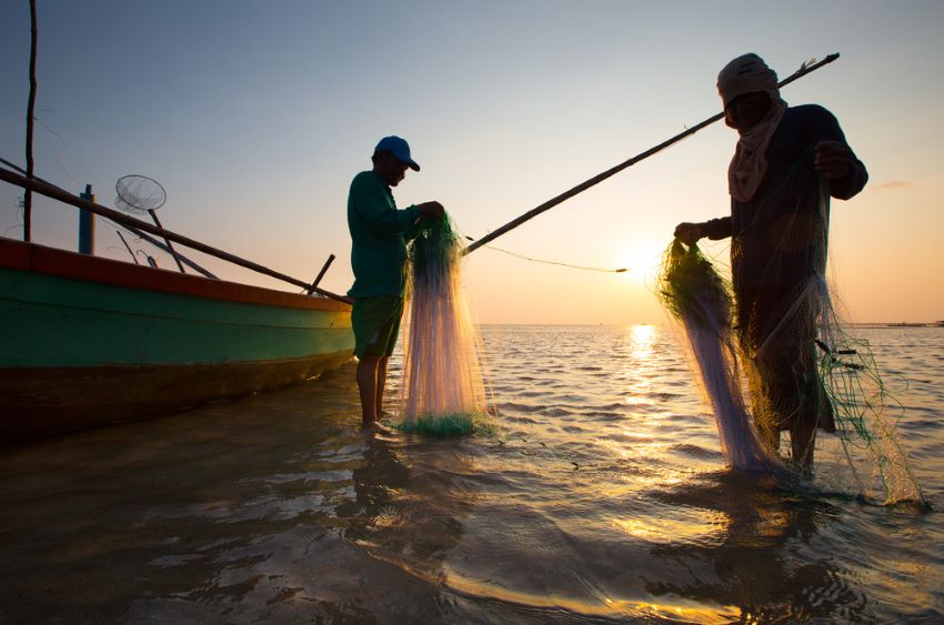 fishing nets 